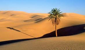 تور یلدایی کویر ابوزیدآباد و کاشان 